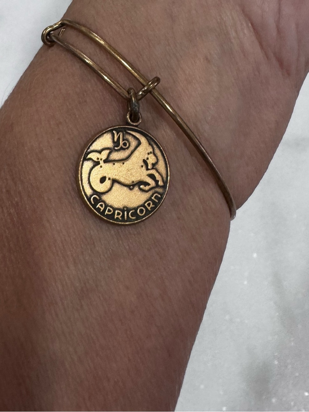 Alex and Ani Capricorn Zodiac Gold Tone Charm Bangle Bracelet 2013